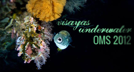 Visayas Underwater OMS 2012